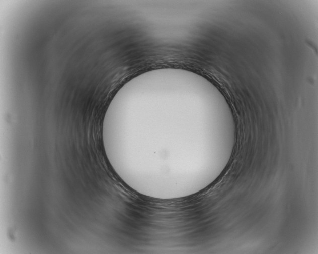 X0000099440336200805090753