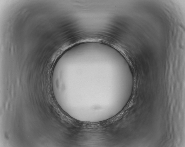 X0000099440337200805090752