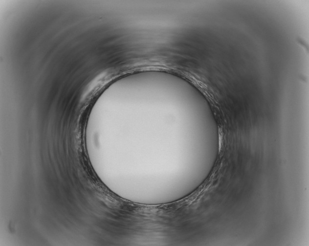 X0000099440339200805090752