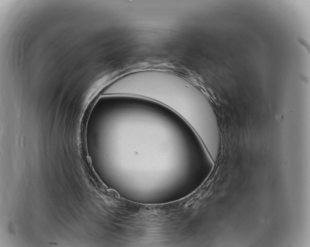 X0000099440340200805090752
