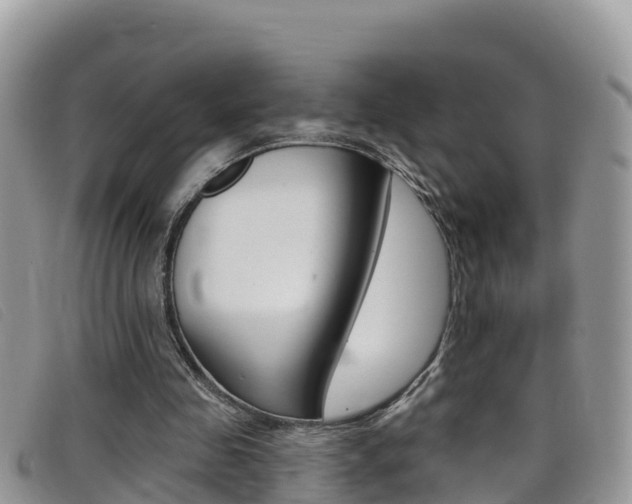 X0000099440341200805090752