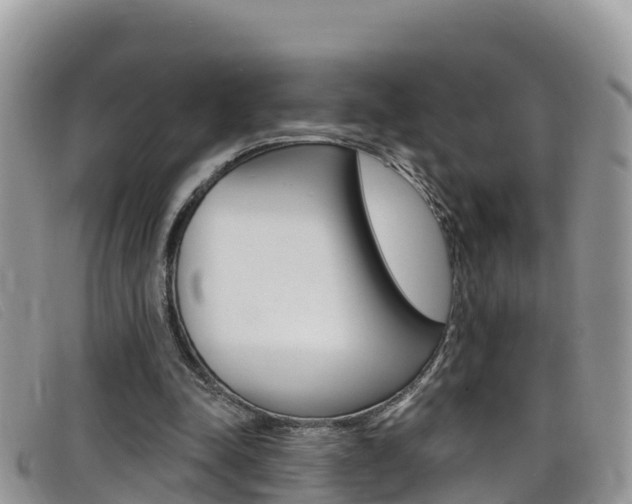 X0000099440342200805090752