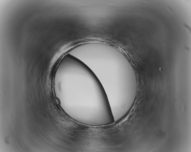 X0000099440343200805090752
