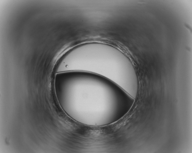 X0000099440344200805090752