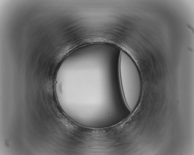 X0000099440345200805090752