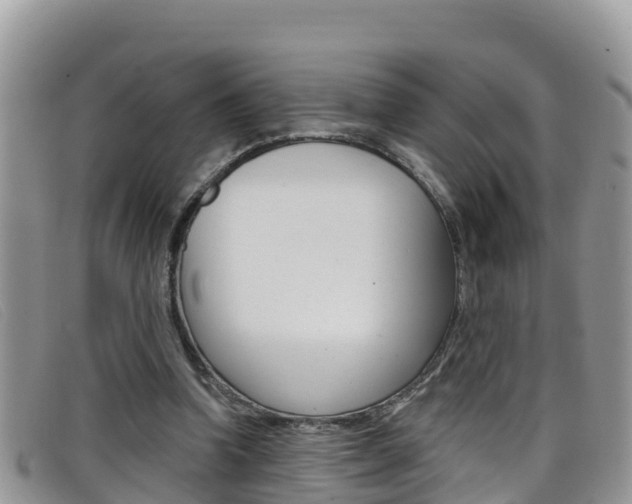 X0000099440346200805090752
