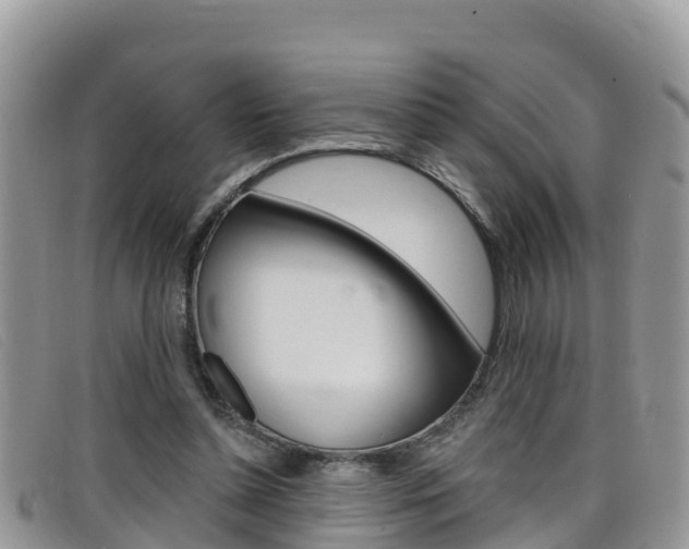 X0000099440348200805090752