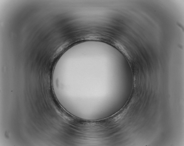 X0000099440349200805090752