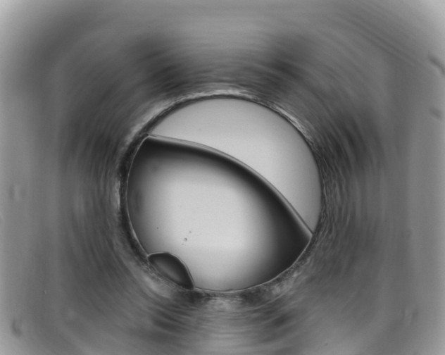 X0000099440350200805090752