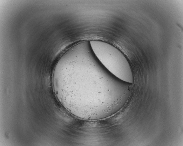 X0000099440351200805090752