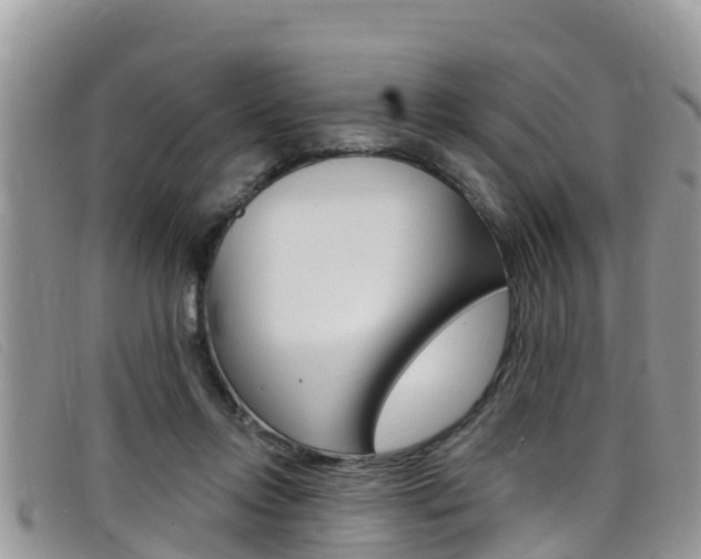 X0000099440358200805090753