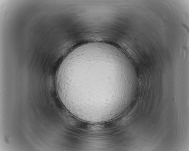 X0000099440359200805090753