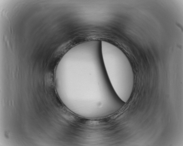 X0000099440361200805090753