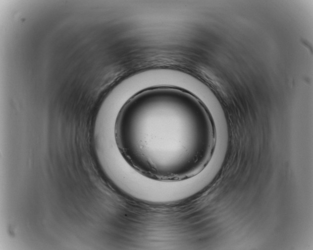 X0000099440362200805090753