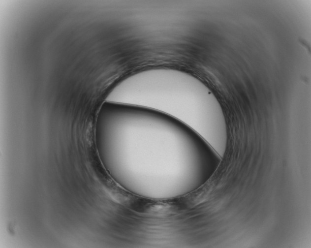 X0000099440364200805090753