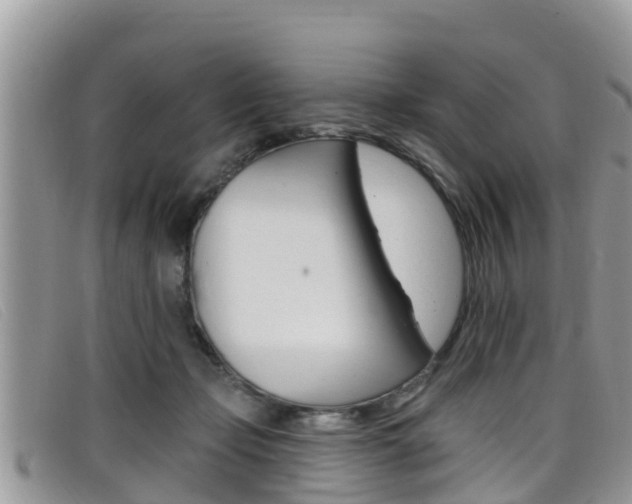 X0000099440365200805090753