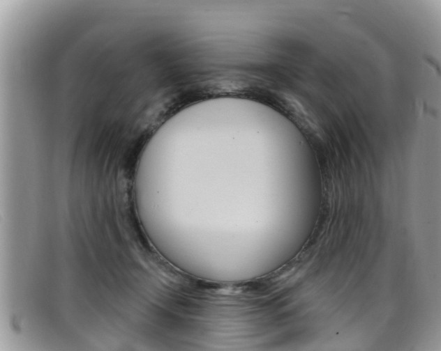 X0000099440366200805090753