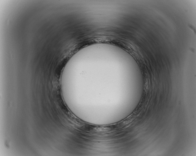 X0000099440367200805090753