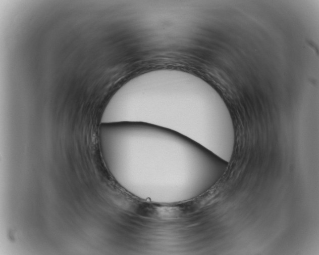 X0000099440371200805090753