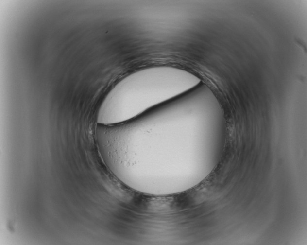 X0000099440373200805090753