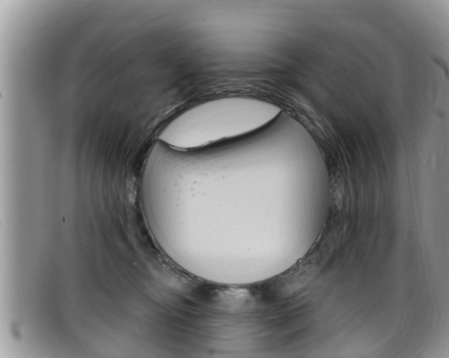 X0000099440374200805090753