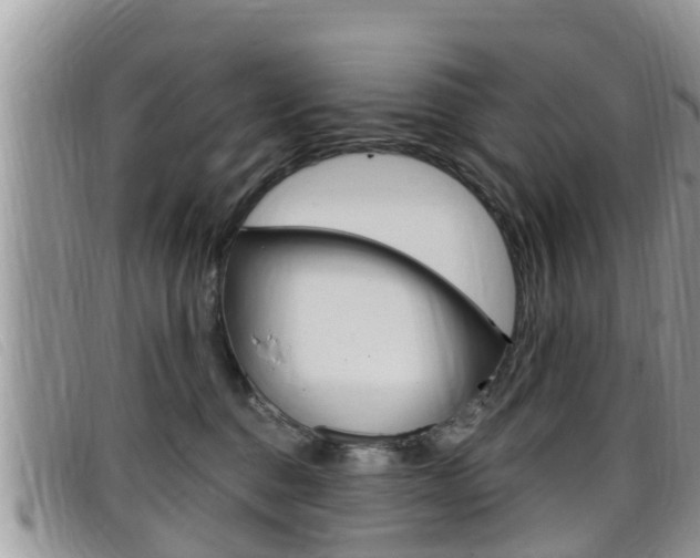 X0000099440376200805090753