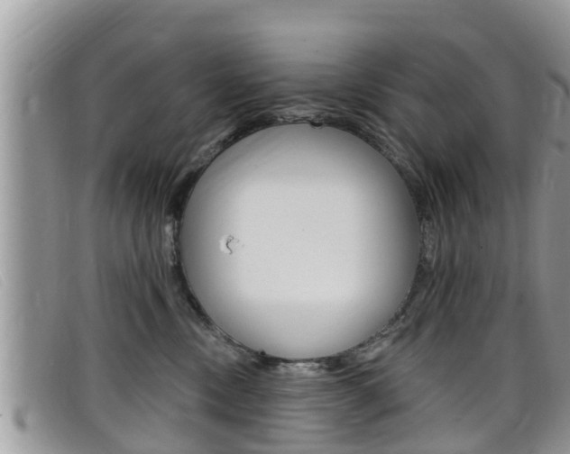 X0000099440378200805090753