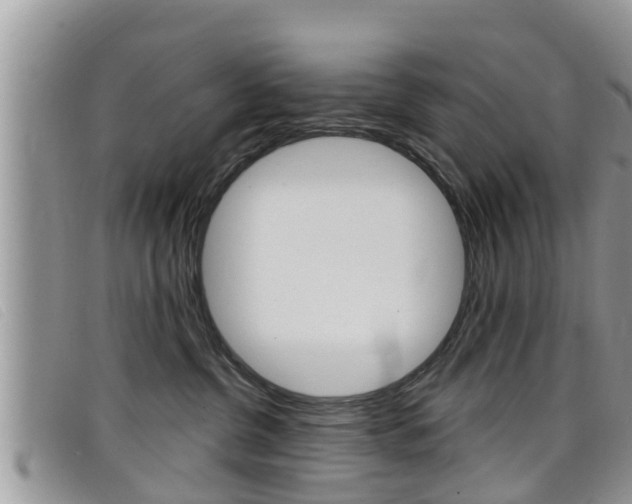 X0000099440380200805090753