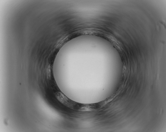 X0000099440381200805090753