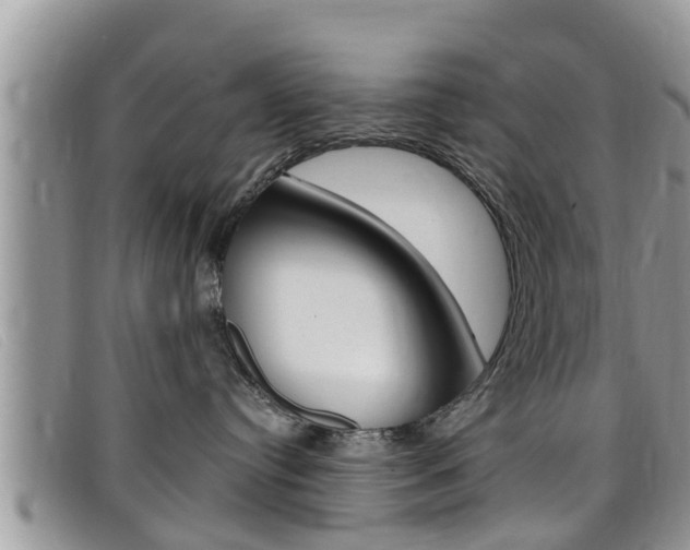 X0000099440384200805090753