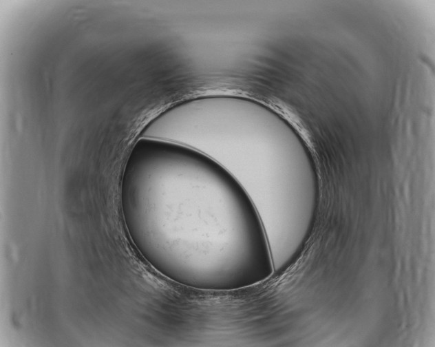 X0000099440385200805090752