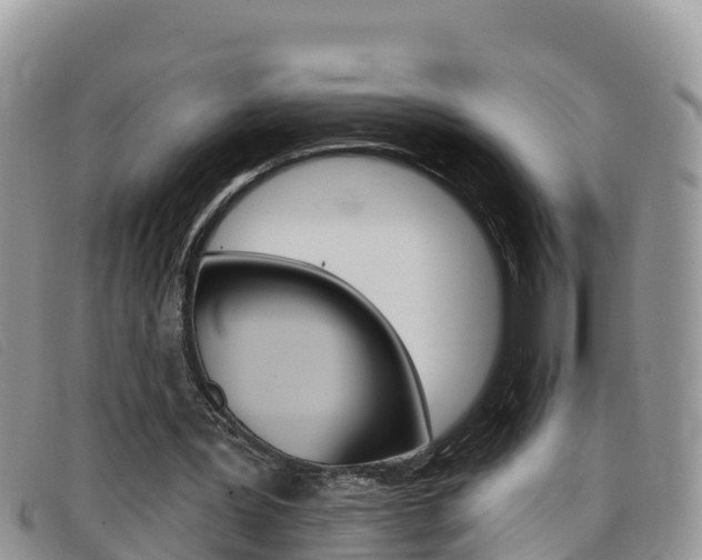 X0000099440387200805090752