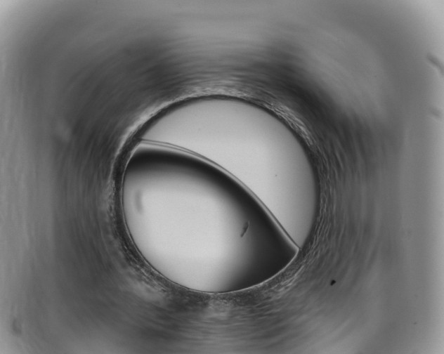 X0000099440388200805090752