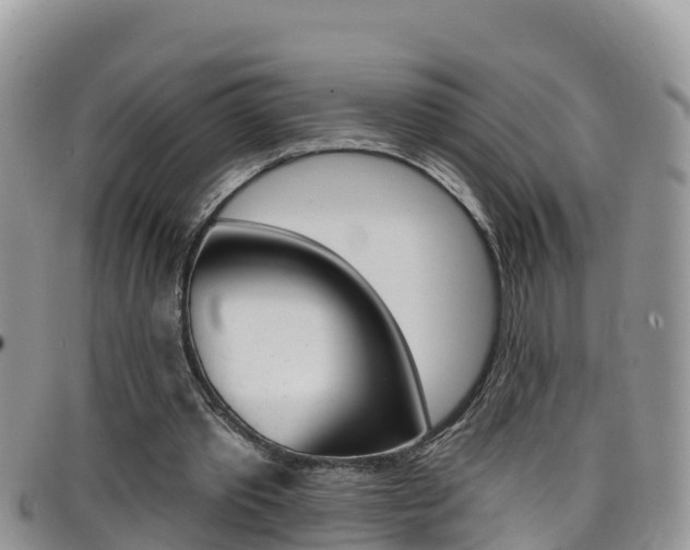 X0000099440389200805090752
