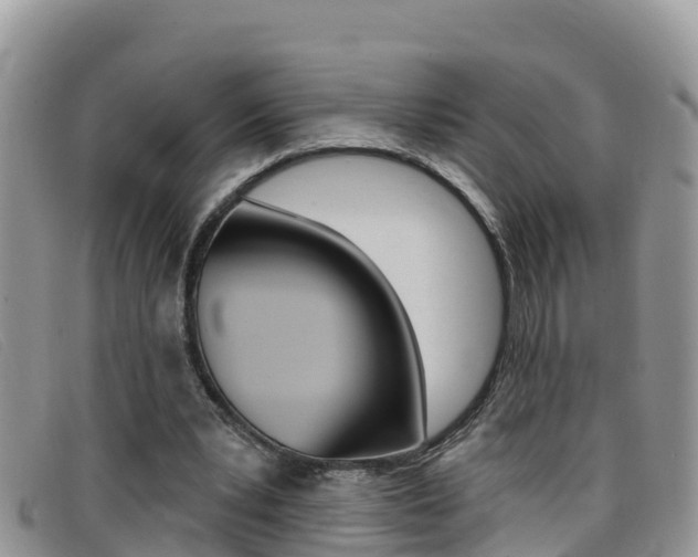X0000099440391200805090752