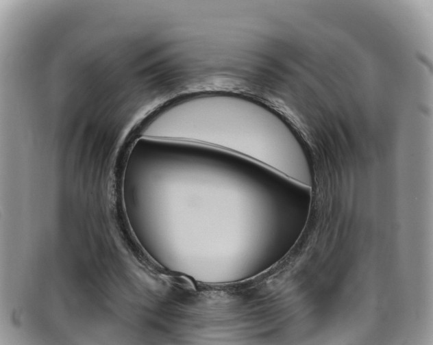 X0000099440392200805090752