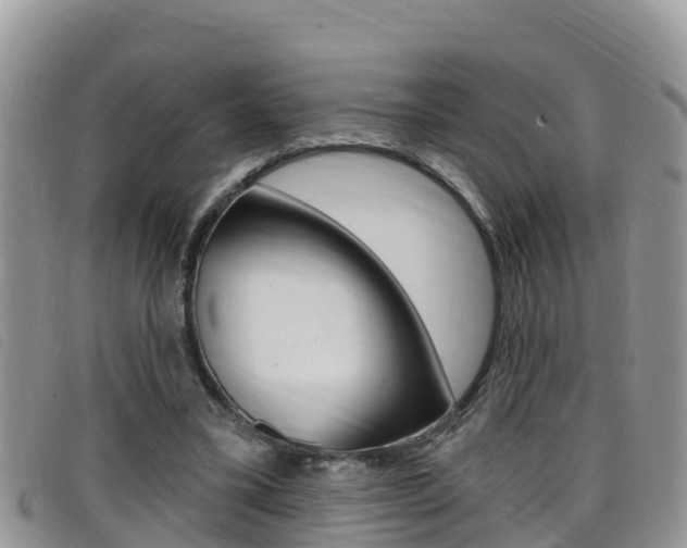 X0000099440395200805090752