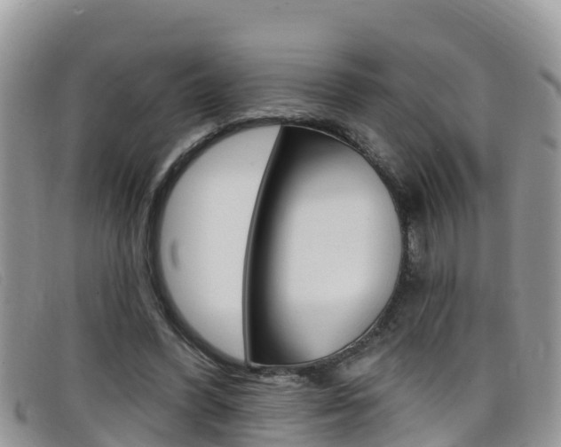 X0000099440396200805090752