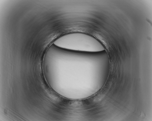X0000099440398200805090752