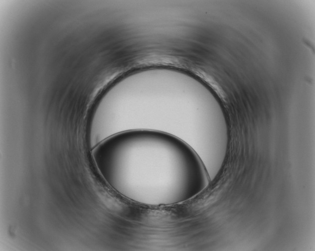 X0000099440399200805090752