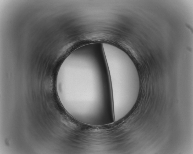 X0000099440400200805090752