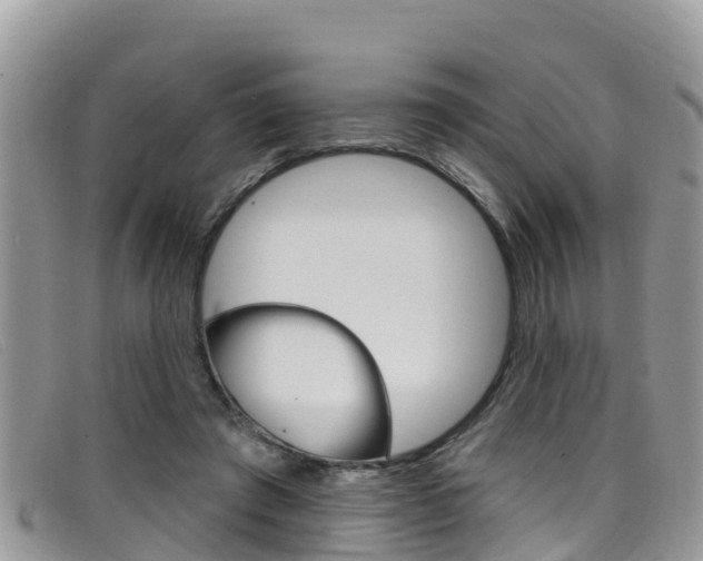 X0000099440401200805090752