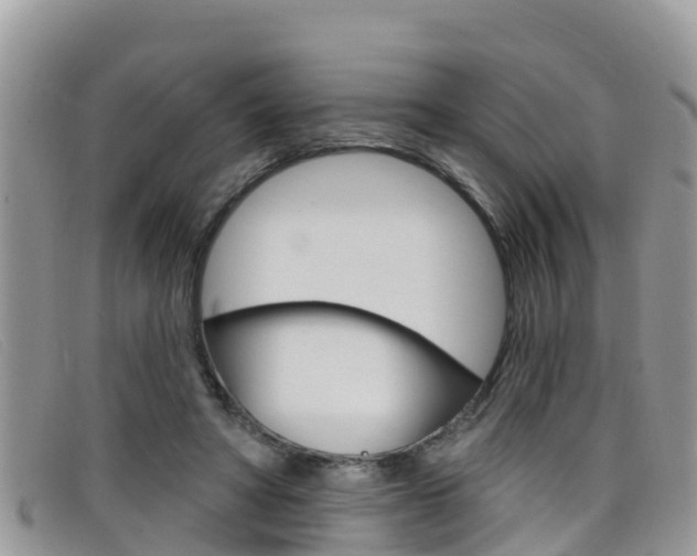 X0000099440402200805090752