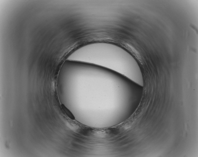X0000099440405200805090752