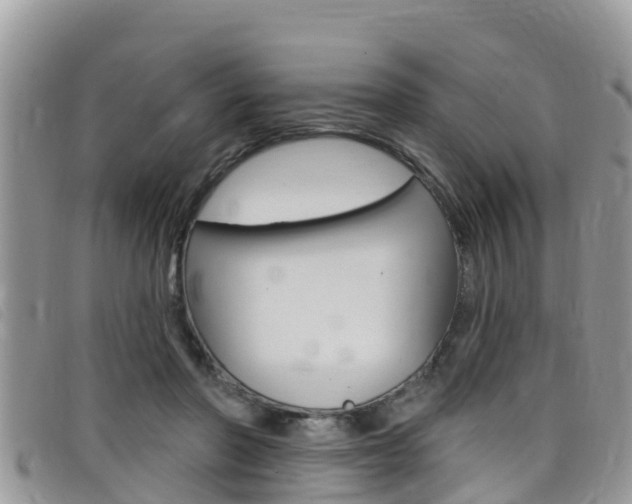 X0000099440406200805090752