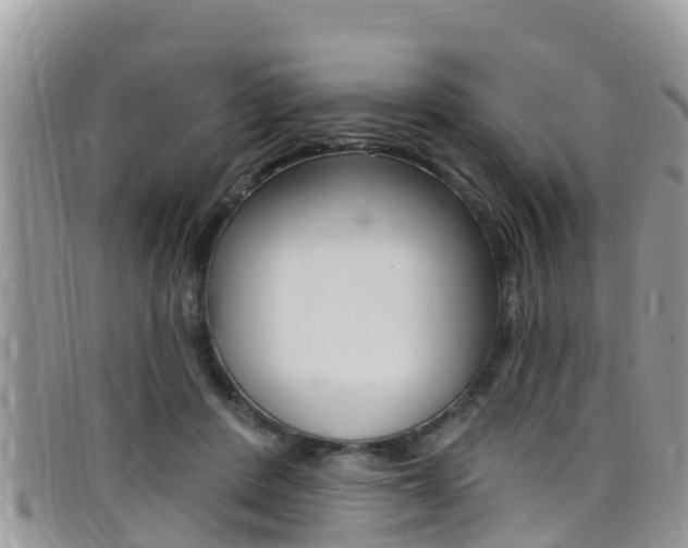 X0000099440408200805090752