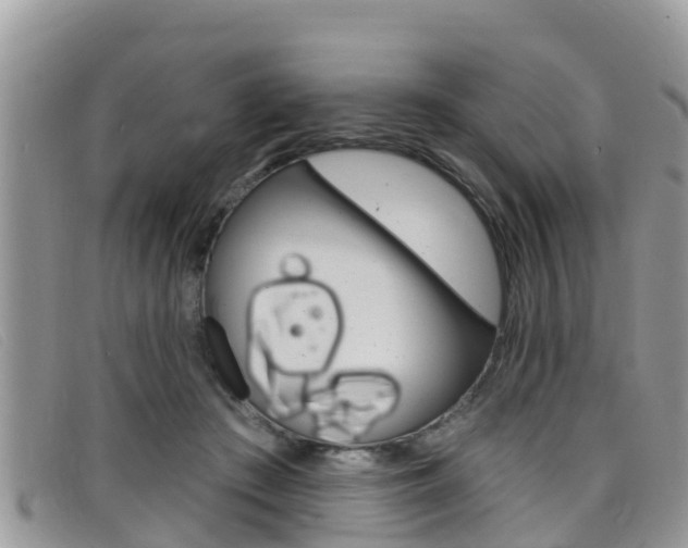 X0000099440409200805090752
