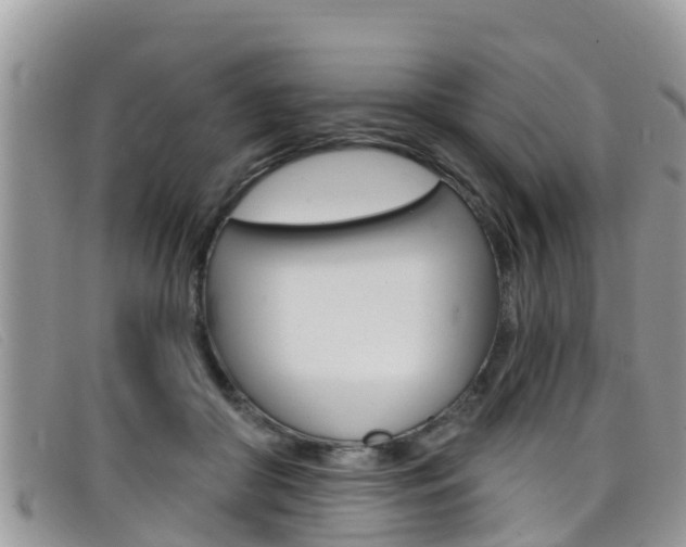 X0000099440410200805090752