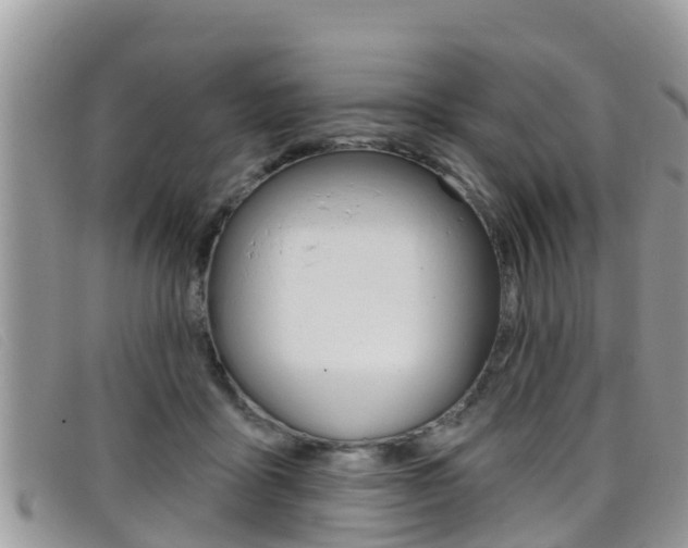 X0000099440411200805090752