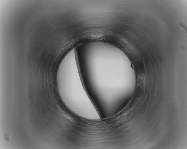X0000099440412200805090752